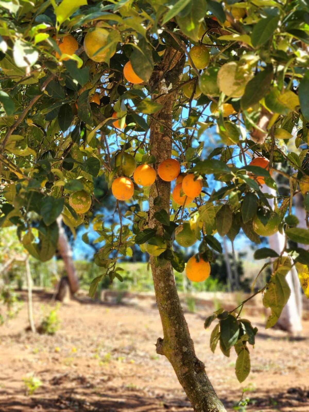 Pousada La na Roça Paraisópolis Exterior foto