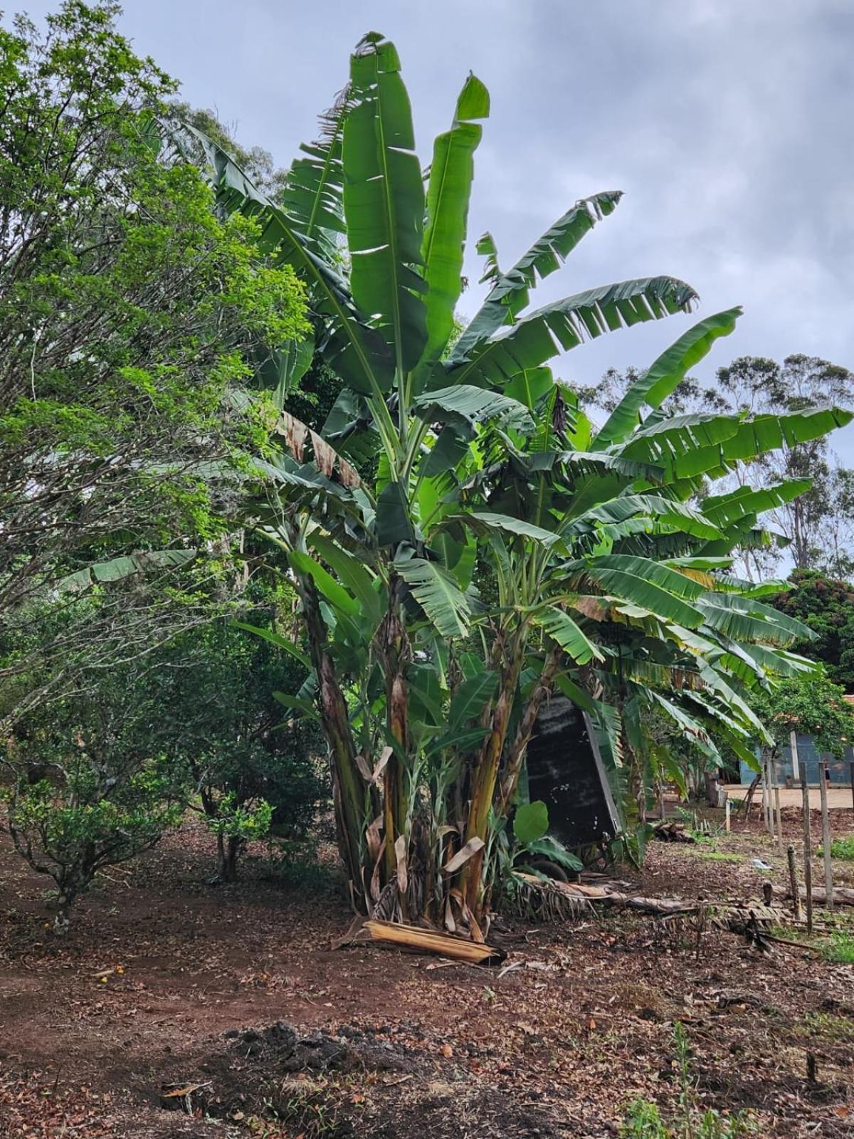 Pousada La na Roça Paraisópolis Exterior foto